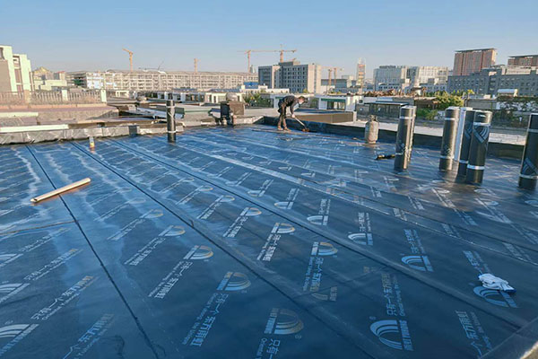 1646664950105729.jpg 112.jpg